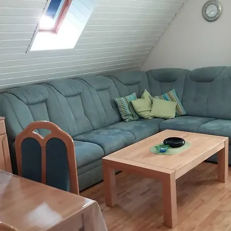 Conerus * Carolinensiel