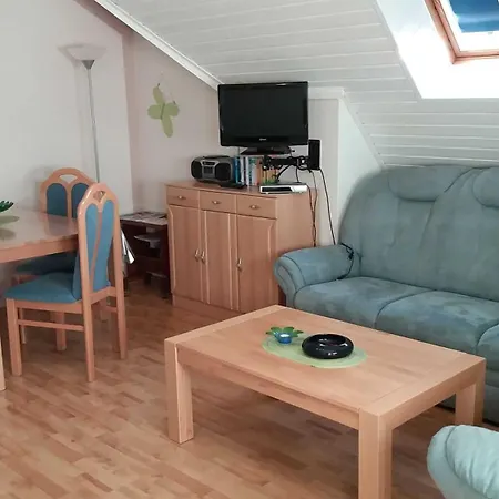 Conerus * Carolinensiel