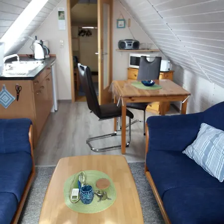 Conerus * Carolinensiel