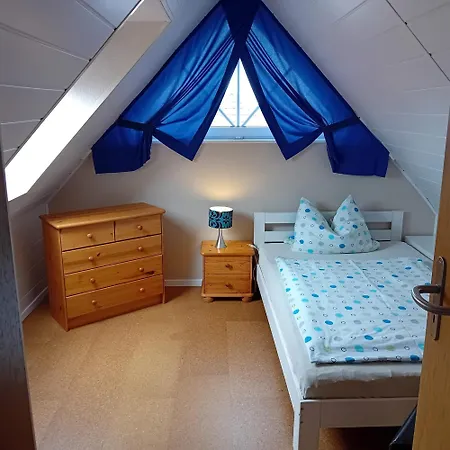 Conerus Carolinensiel