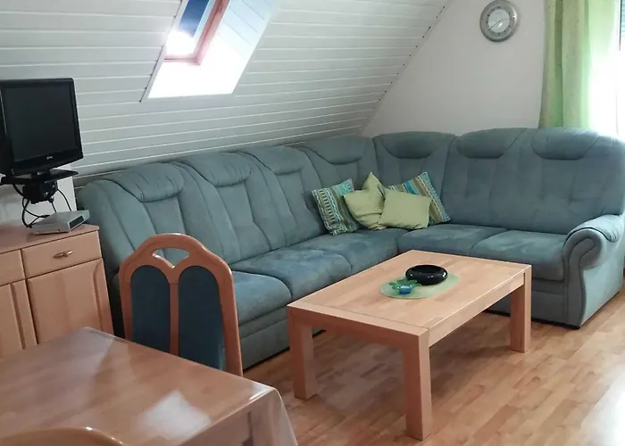 Conerus * 카롤리넨시엘