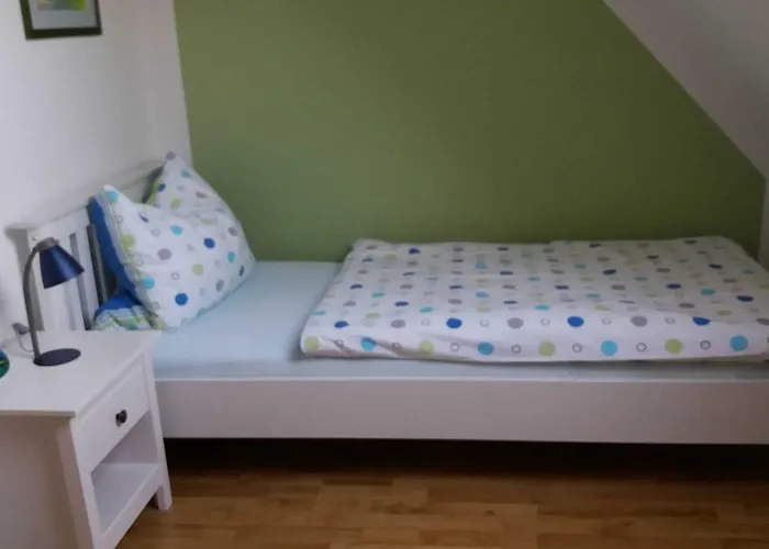 Conerus * 카롤리넨시엘