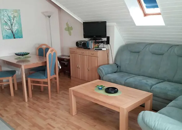 Conerus * 카롤리넨시엘