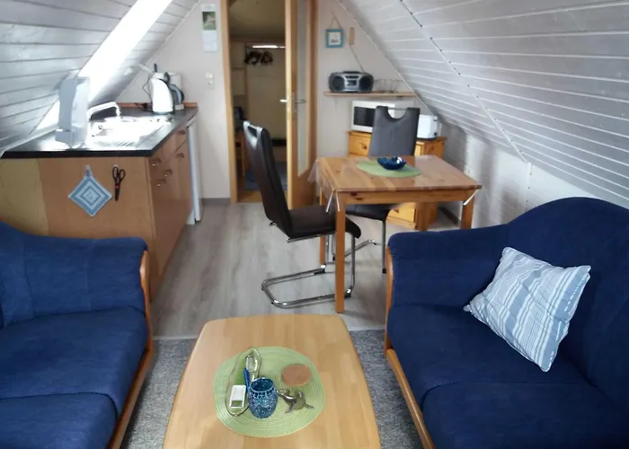 Conerus * 카롤리넨시엘