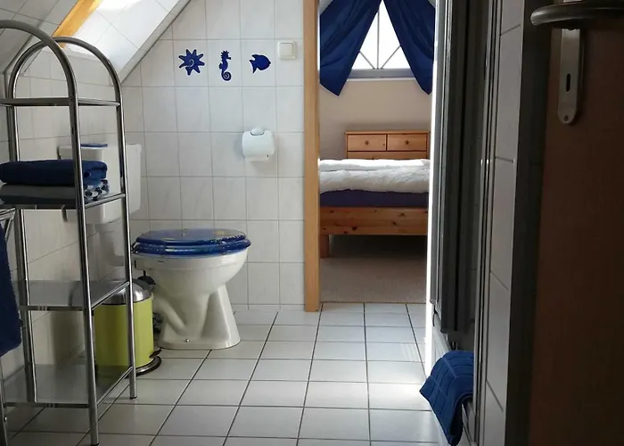 Conerus * 카롤리넨시엘