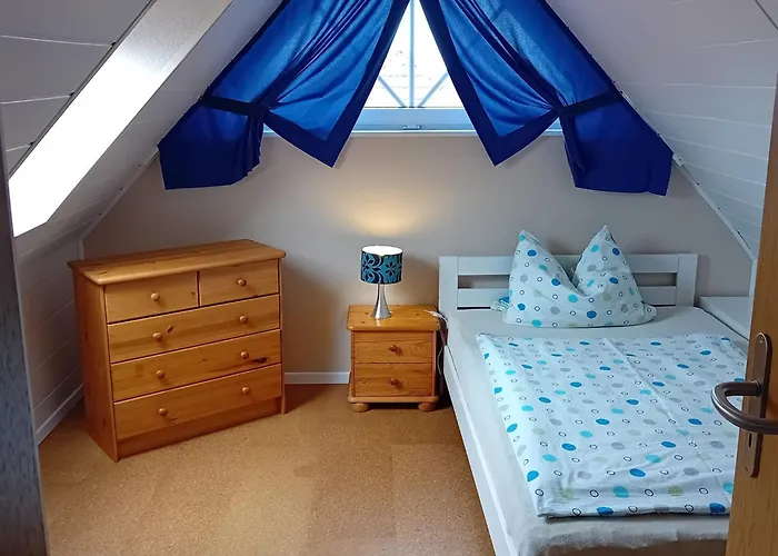 Conerus 카롤리넨시엘